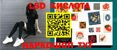крисы Новодвинск