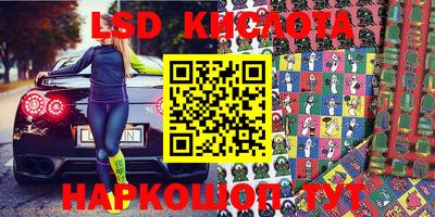 крисы Новозыбков