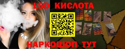 крисы Новодвинск