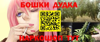 крисы Новозыбков