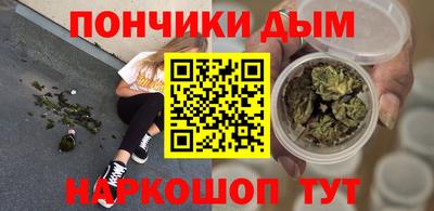 крисы Новодвинск