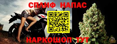крисы Новозыбков