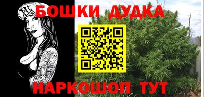 крисы Новозыбков