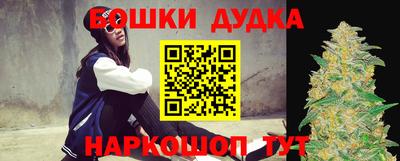 крисы Новозыбков
